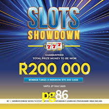 Premium Interface pg86